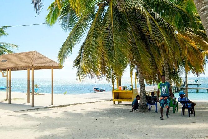 Saona VIP 3 Beaches, Natural Pool & Mano Juan Turtle Sanctuary - Transportation & Comfort