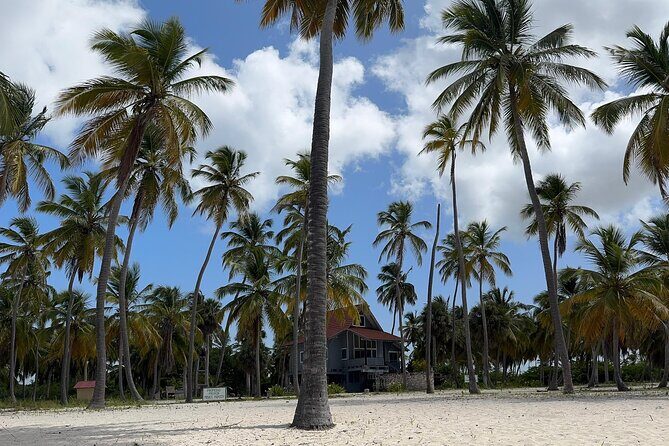 Saona VIP 3 Beaches, Natural Pool & Mano Juan Turtle Sanctuary - FAQs