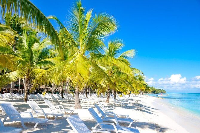 Saona Vip with three Beaches and Lunch - What Reviewers Say About the Tour  