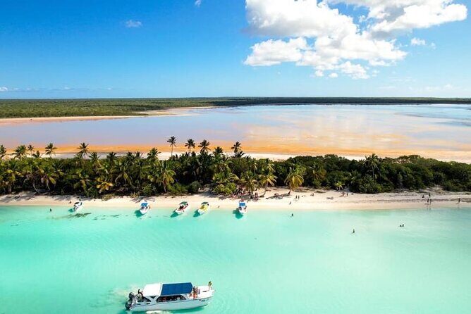 Saona Vip with three Beaches and Lunch - Who Is This Tour Best For?  