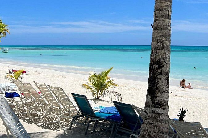 Saône Catamaran Island - speedboat, open bar and lunch - Final Thoughts: Is This Tour Right for You?