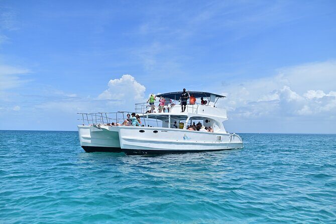 Saône Island: Tropical Paradise with Snorkeling and Lunch Included - Is This Tour Worth It?