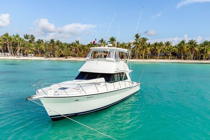 Saône VIP Island by Luxury Yacht - Good To Know