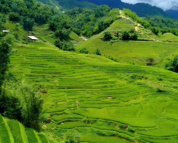 SAPA 1 DAY - Mountain Views And Villages Trek - Long Trek - Highlights of the Trek