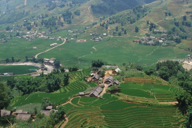 Sapa: 1-Day Trek Through Muong Hoa Valley & Villages - Meeting Point and Language Support