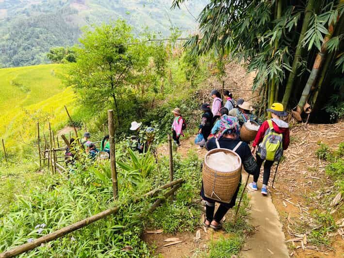 Sapa 1-Day Trekking Tour: Rice Terraces & Villages - Good To Know