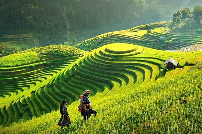 Sapa 1 Day Trekking Tours - Tour Highlights