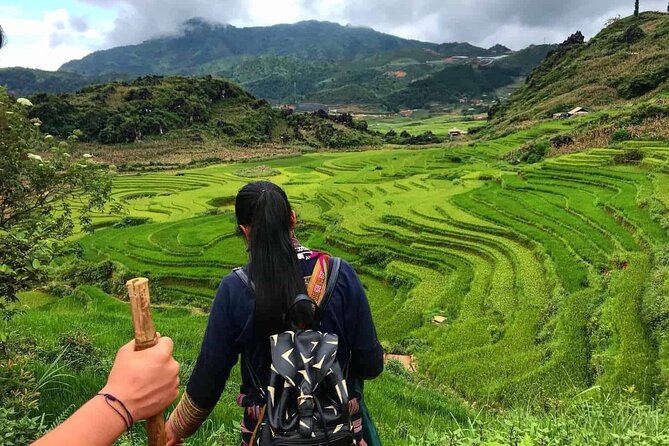 Sapa 1 Day Trekking Tours - Common Questions