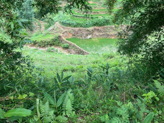 SAPA 1DAY AND 1NIGHT VISIT LOCAL VILLAGES AND FAMILY ETHNIC - Accessibility Information