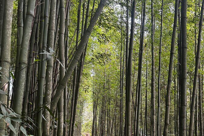 Sapa 2 Day 1 Night Trekking Mountain,Rice fields and Village Tour - FAQ