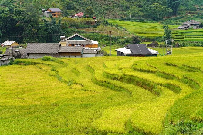 Sapa 2 Day 1 Night With 3Star Hotel Trekking Cat Cat - Fanxifang - Trekking Routes and Difficulty Levels