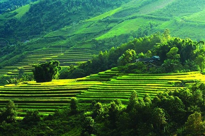 Sapa 2 Day Tour by Bus From Hanoi: Small Group; Trekking; Hotel; Express Way - Common Questions