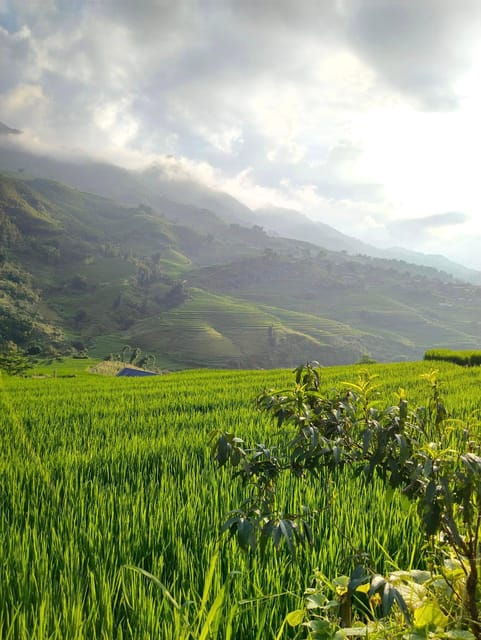 SAPA 2 DAY Trekking & 1 Night Homestay With LOCAL PEOPLE - Important Information