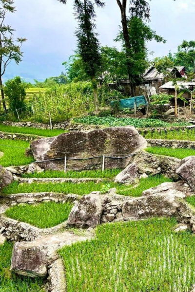 SAPA 2 DAY Trekking & 1 Night Homestay With LOCAL PEOPLE - Local Culture and Experience