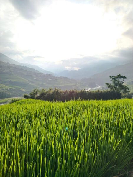 SAPA 2 DAY Trekking & 1 Night Homestay With LOCAL PEOPLE - Booking and Cancellation Policy