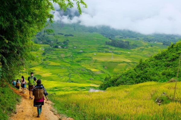 SaPa: 2-Day Villages,Rice Fields, Love Waterfall Hiking Tour - Tips for Travelers