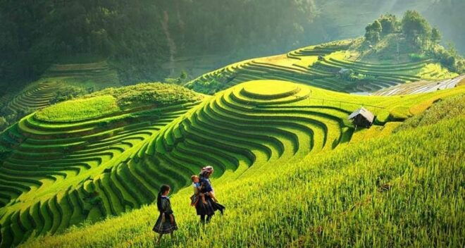 Sapa 2 Days 1 Night Cat Cat Village and Fansipan Peak - Highlights and Experiences