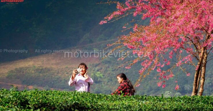 Sapa 2 Days 1 Night - Classic Hikking Tour - Experience Highlights