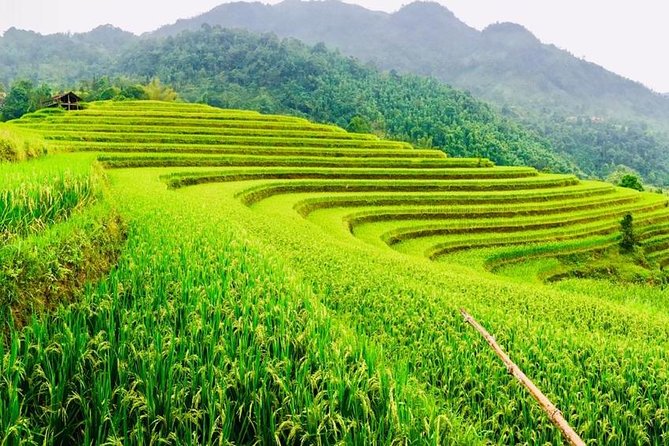 Sapa 2 Days 1 Night From Hanoi, Transfer By Luxury Van, Stay In Loca Homestay - Itinerary Overview