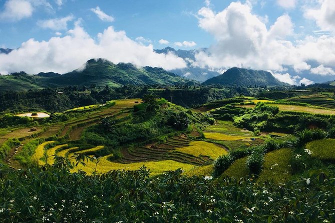 Sapa 2 Days 1 Night From Hanoi, Transfer By Luxury Van, Stay In Loca Homestay - Local Homestay Accommodation