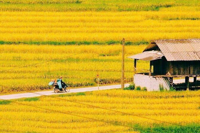 Sapa 2 Days 1 Night Overnight at Homestay Ta Van Village - Who Will Love This Tour?