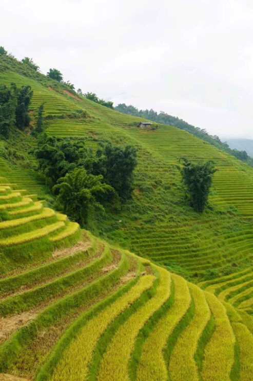 Sapa 2 Days 1 Night Overnight at Homestay With Local People - Detailed Itinerary