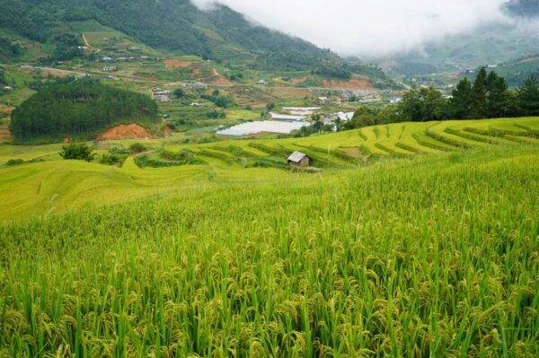 Sapa 2 Days 1 Night Overnight at Homestay With Local People - Important Information
