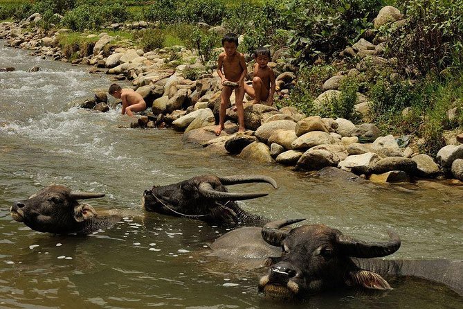 Sapa 2 Days 1 Night Trekking Adventure Tour From Hanoi (Overnight in Bungalow) - Tour Leader for a Smooth Adventure