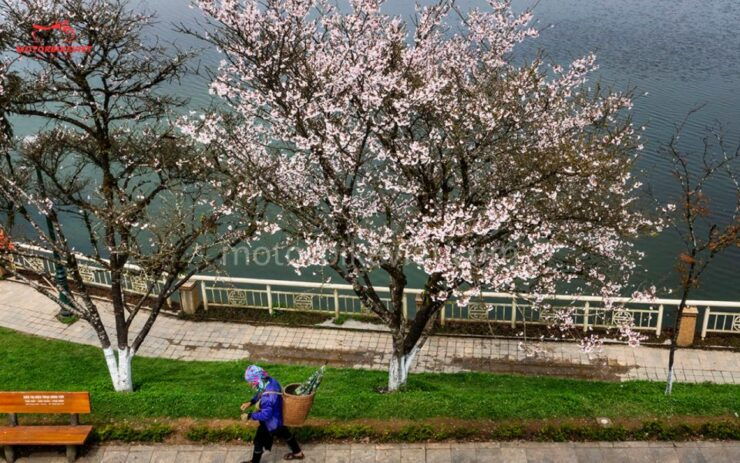 SAPA 2 Days - Classic Hikking Tour - Tour Overview