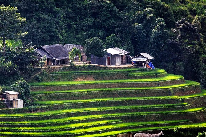 Sapa 2 Days Overnight at Homestay in Ta Van Village - Delicious Local Cuisine to Try