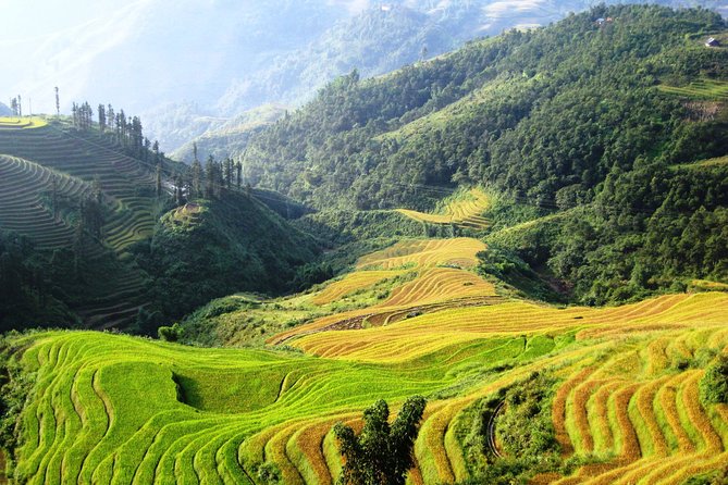 Sapa 2 Days Overnight at Homestay in Ta Van Village - How to Book Your Sapa Homestay Tour