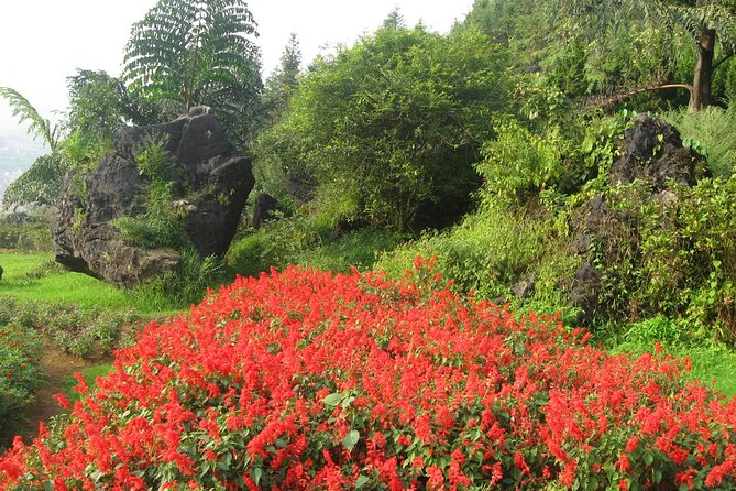 Sapa 2 Days Overnight at Homestay in Ta Van Village - The Sum Up