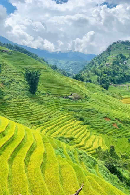 Sapa 2 Days Trekking and Homestay Experience - Inclusions and Exclusions
