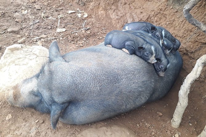 Sapa 2D1N Trekking to Giang Ta Chai Village From Hanoi by Bus - The Sum Up