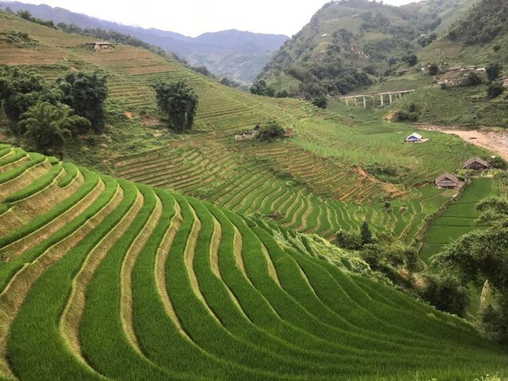 Sapa 2day 1night Trekking Tour - Tour Highlights