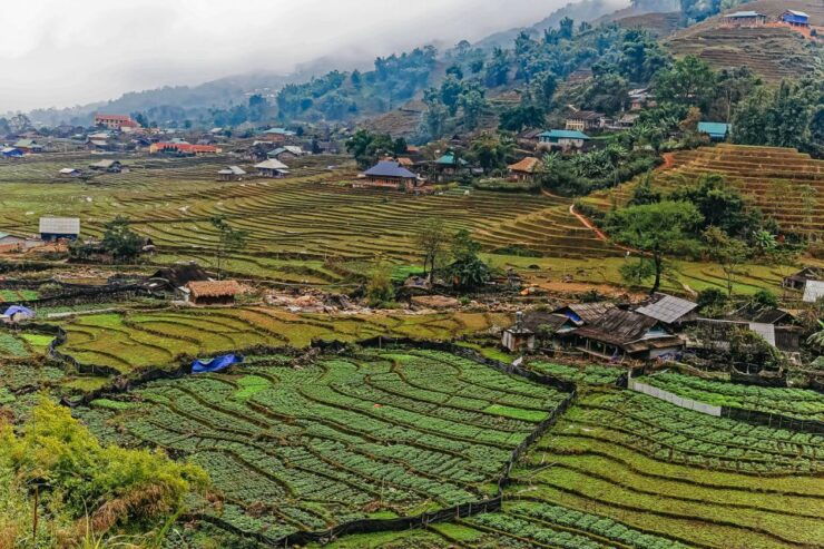 Sapa: 3-Day, 3-Night Trek and Hotel With Overnight Train - Activity Details