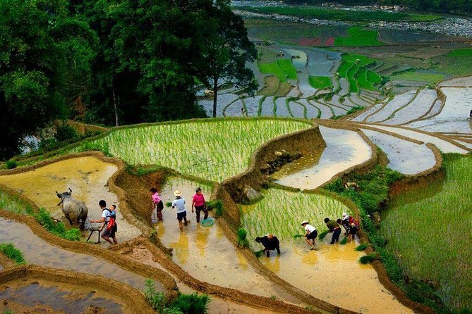 Sapa 3-Day Local Life Trek and Tour - Hanoi - Accommodation and Meals