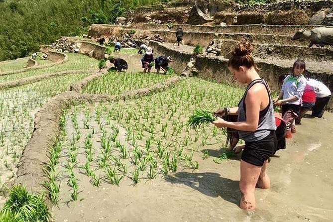 Sapa 3-Day Local Life Trek and Tour - Hanoi - Transportation and Pick-up