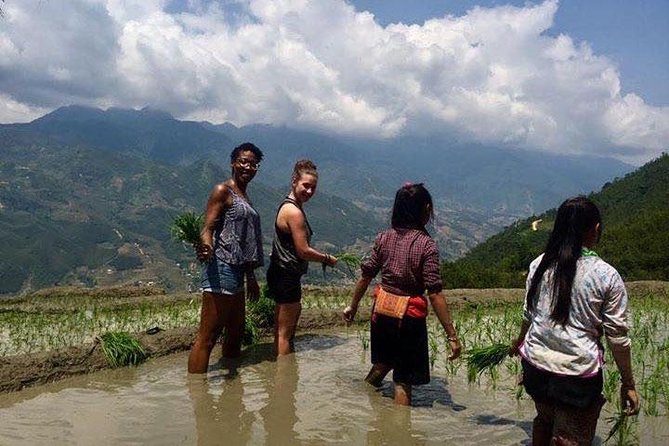 Sapa 3-Day Local Life Trek and Tour - Hanoi - Reviews and Testimonials