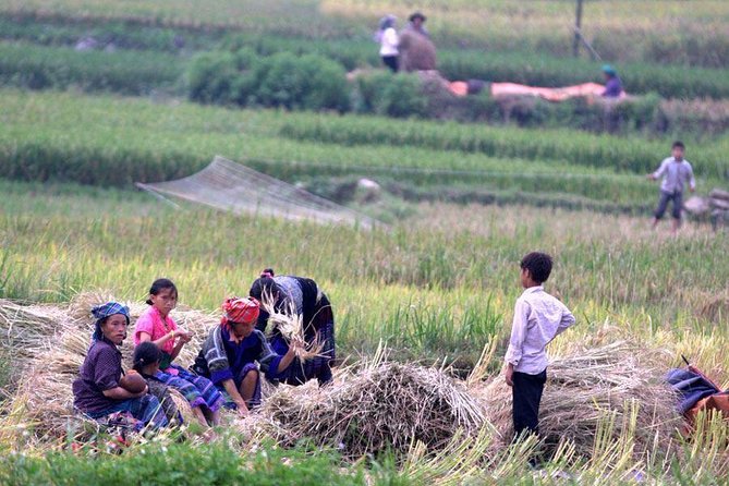 Sapa 3-Day Local Life Trek and Tour - Hanoi - The Sum Up