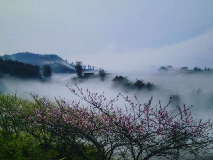 Sapa 3-Day Trekker - Booking Details