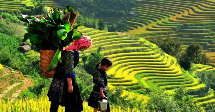 Sapa 3 Days - 2 Night ( 1 Night Homestay - 1 Night Hotel) - Itinerary Highlights