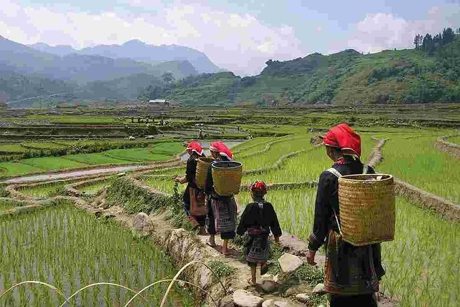 Sapa 3 Days 2 Nights Trekking Tour (1 Night In Ta Van Village, 1 Night In Hotel) - The Sum Up