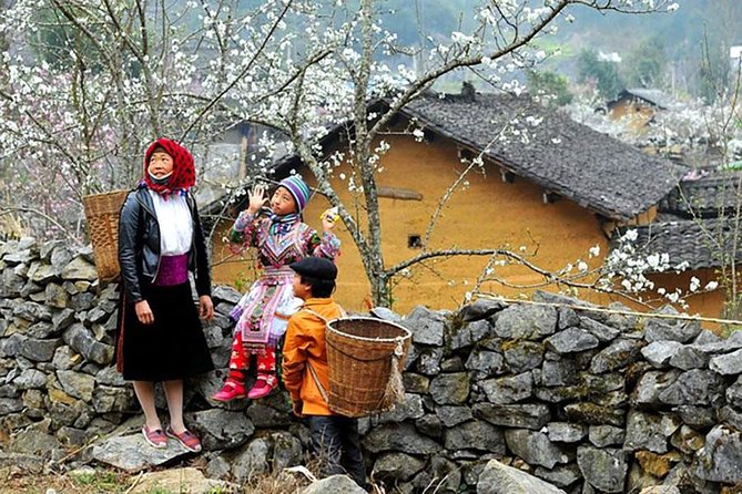 Sapa 3 Days 2 Nights Trekking Tour From Hanoi (2 Nights in Hotel) - Trekking Tour Organization and Overall Experience