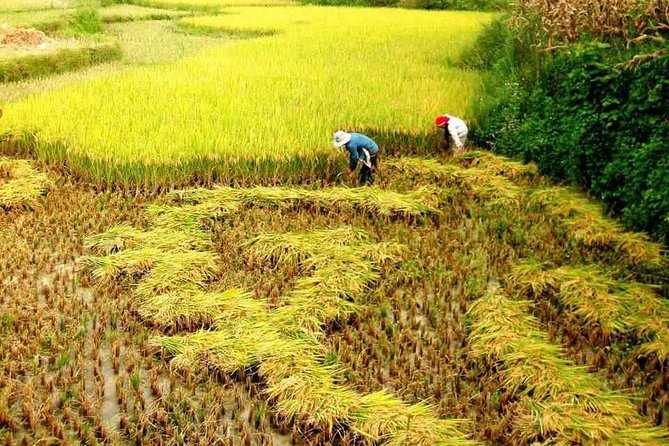 Sapa 4-Night, 3-Day Trekking Tour From Hanoi - Pricing