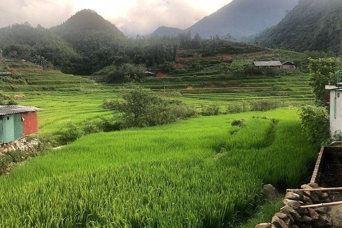 Sapa Amazing 1 Day Trip: Muong Hoa Valleys & Authentic Villages - Common Questions