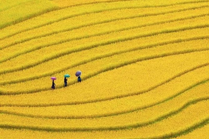 Sapa Amazing Trekking Tour 2 Days 3 Nights - Included Activities and Attractions