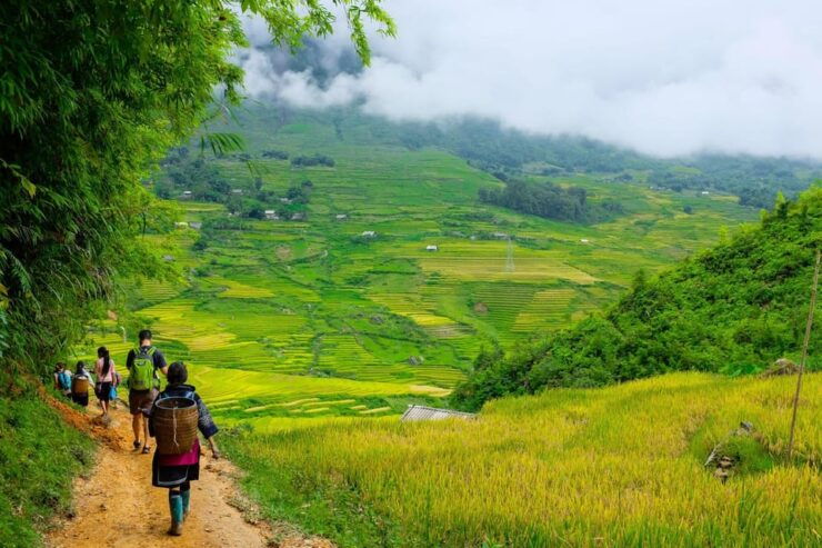 Sapa Beautiful Rice Field, Village - Easy Walking Kid,Senior - Overview of Sapa Trip