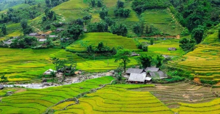 Sapa Beautiful Rice Field, Village - Easy Walking Kid,Senior - Scenic Rice Terraces