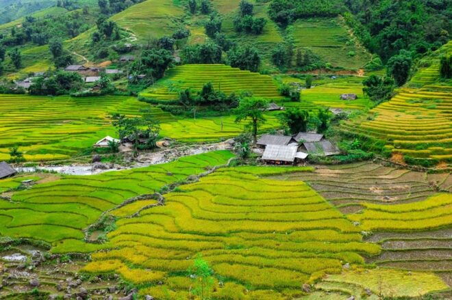 Sapa Beautiful Rice Field, Village - Easy Walking Kid,Senior - Cultural Experiences